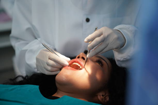 What Are The Services Performed By The Dental Profession?